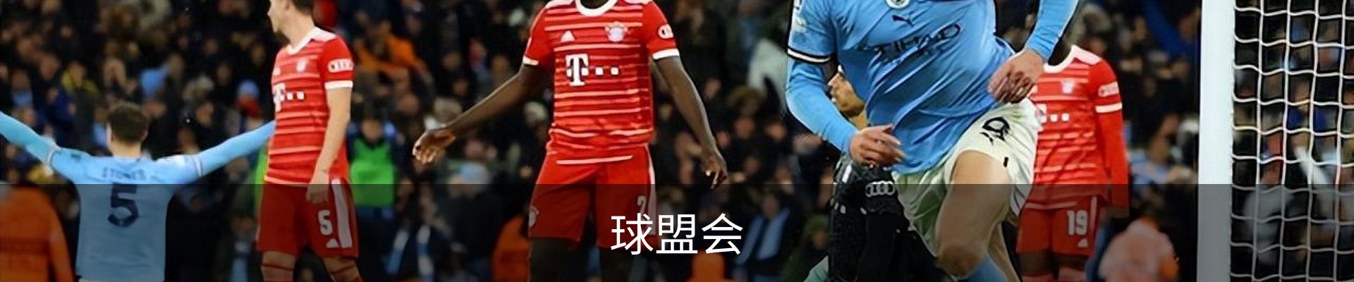 球盟会